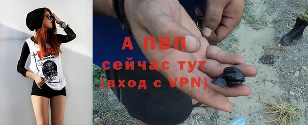 гашик Новодвинск