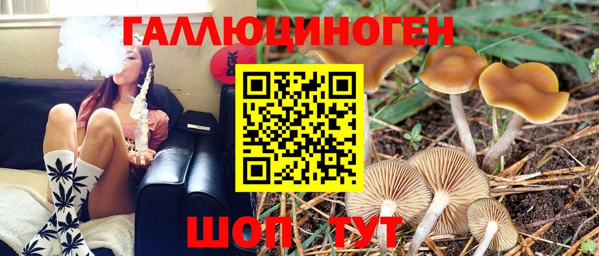 Галлюциногенные грибы Psilocybine cubensis Белебей